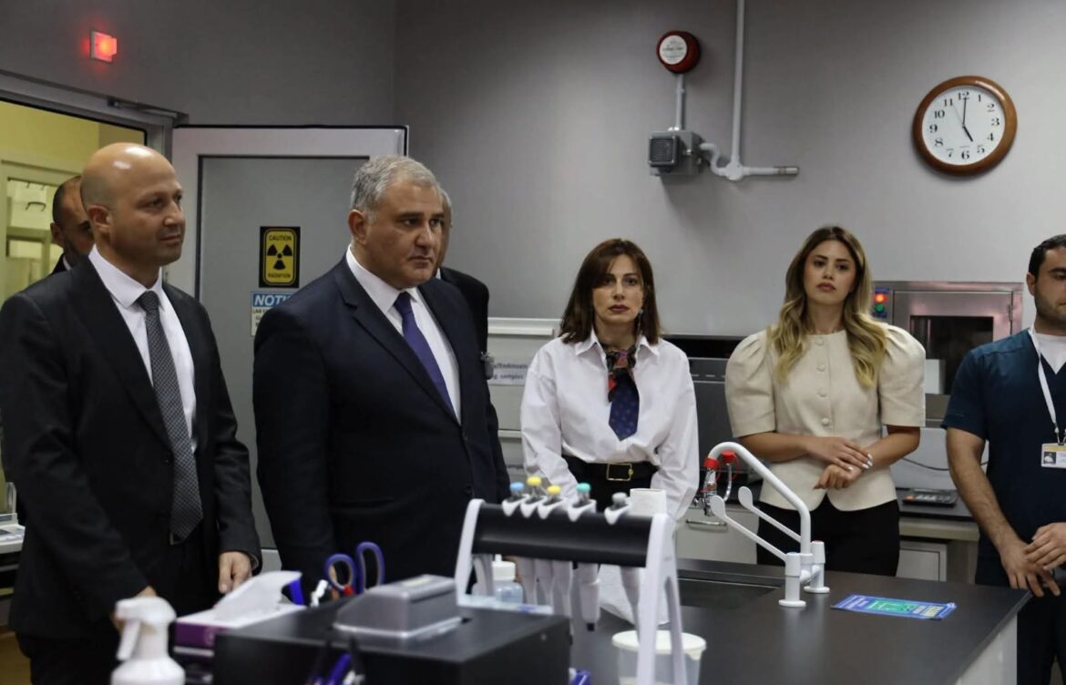 მიხეილ სარჯველაძე სომხეთის ჯანდაცვის მინისტრს შეხვდა