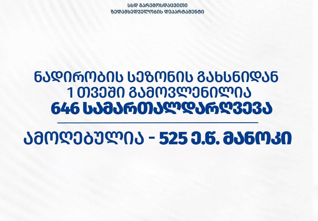 ნადირობის სეზონის გახსნიდან 1 თვეში, აჭარაში 39 სამართალდარღვევა გამოვლინდა
