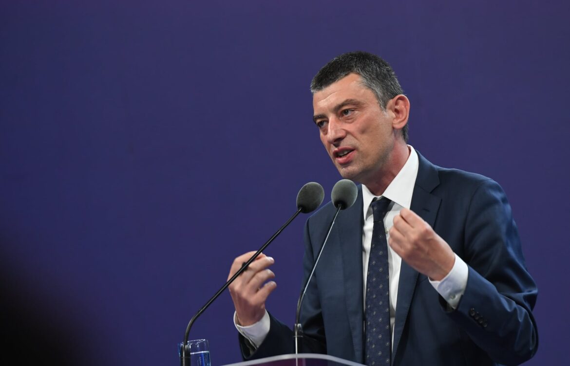 გიორგი გახარია საკონსტიტუციო სარჩელზე – დღემდენ ეს „სარჩელი“ მიუწვდომელია