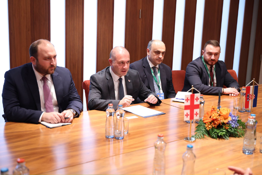 მიქანაძემ კოლეგა მინისტრებთან თანამშრომლობის გაძლიერების პერსპექტივები განიხილა