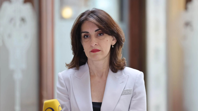 მაკა ბოჭორიშვილი კანადის პარლამენტის საგარეო საქმეთა და საერთაშორისო განვითარების კომიტეტის თავმჯდომარეს შეხვდა
