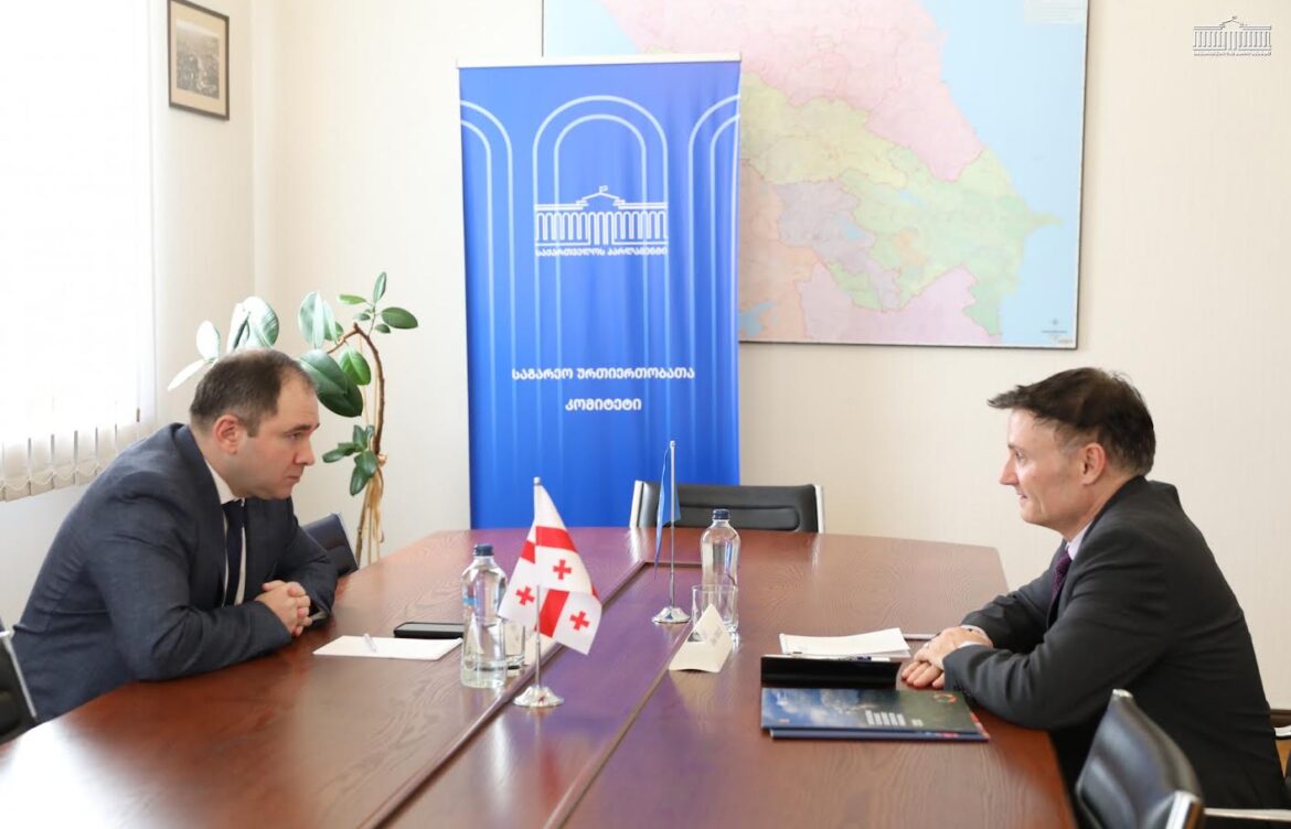 ნიკოლოზ სამხარაძე  საქართველოში გაეროს მუდმივ კოორდინატორს შეხვდა