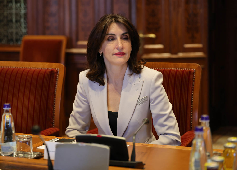 მაკა ბოჭორიშვილი: საქართველო მტკიცედ დგას უკრაინელი ხალხის გვერდით