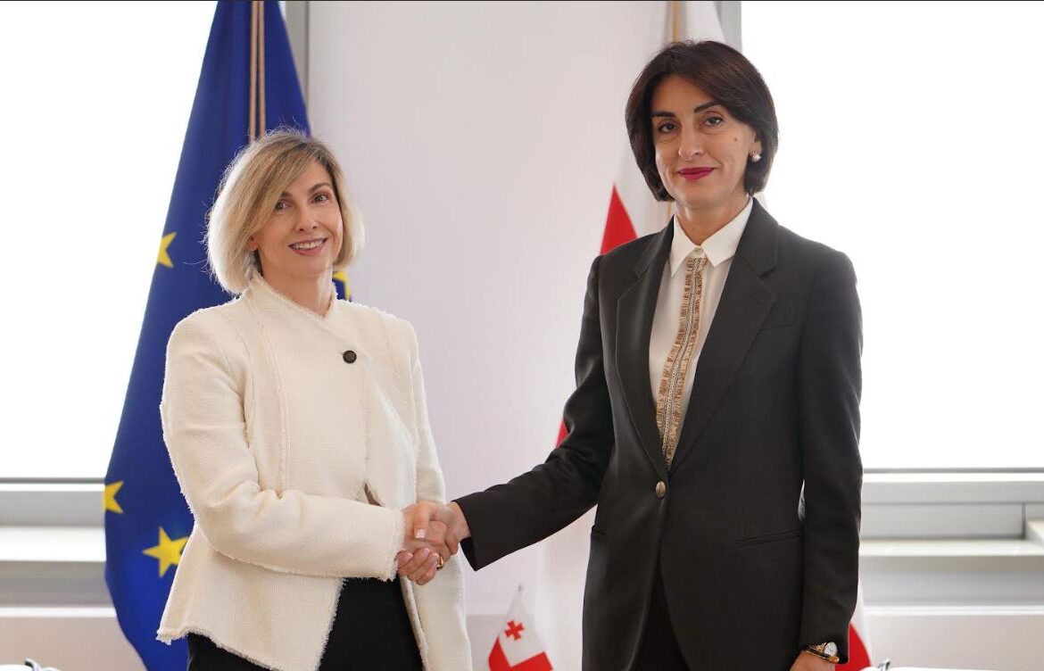 მაკა ბოჭორიშვილი საქართველოში საბერძნეთის რესპუბლიკის ახლად დანიშნულ ელჩს შეხვდა