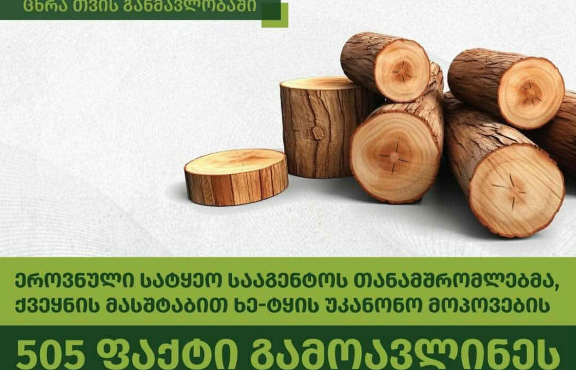 ხე-ტყის უკანონო მოპოვების 505 ფაქტი გამოვლინდა