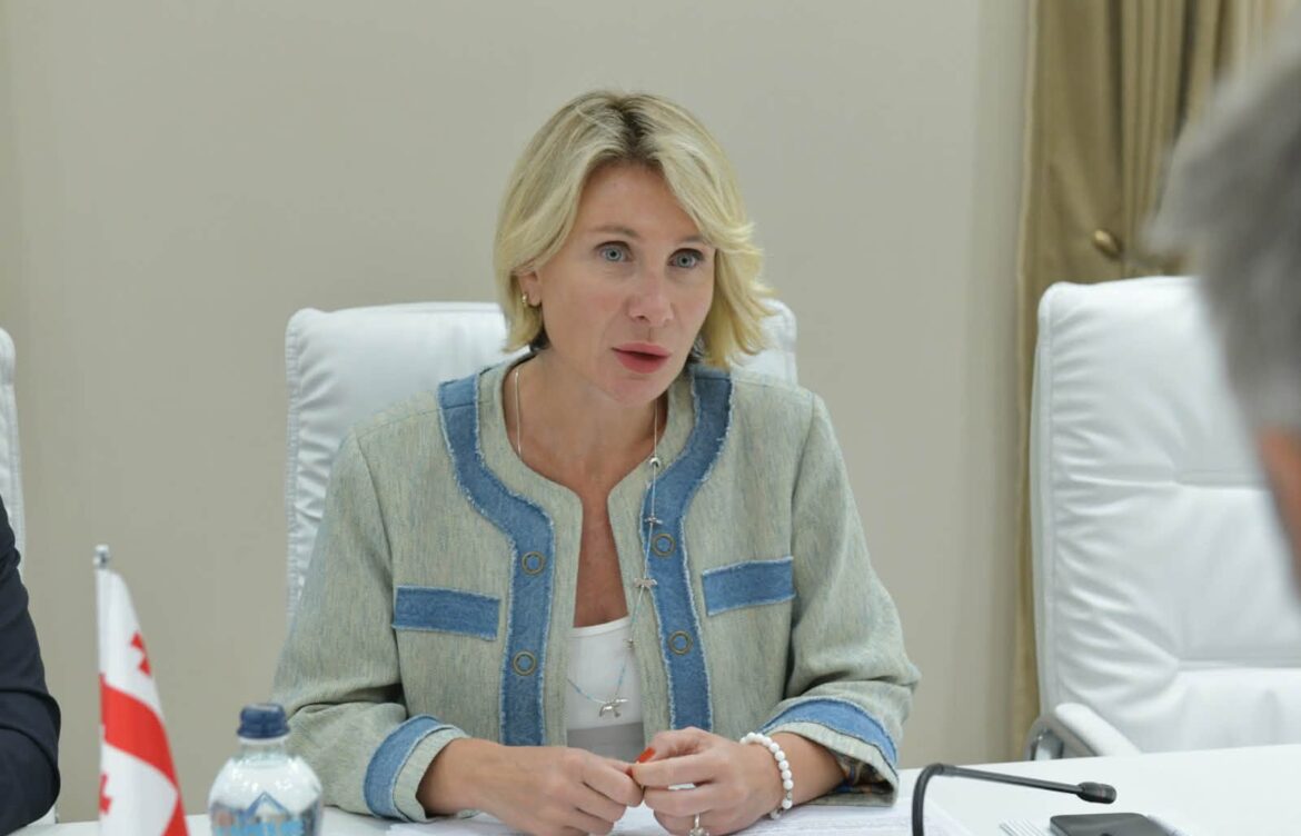 „აღმოჩნდა, რომ კანონის უზენაესობა მათთვის პირობითი ცნებაა“