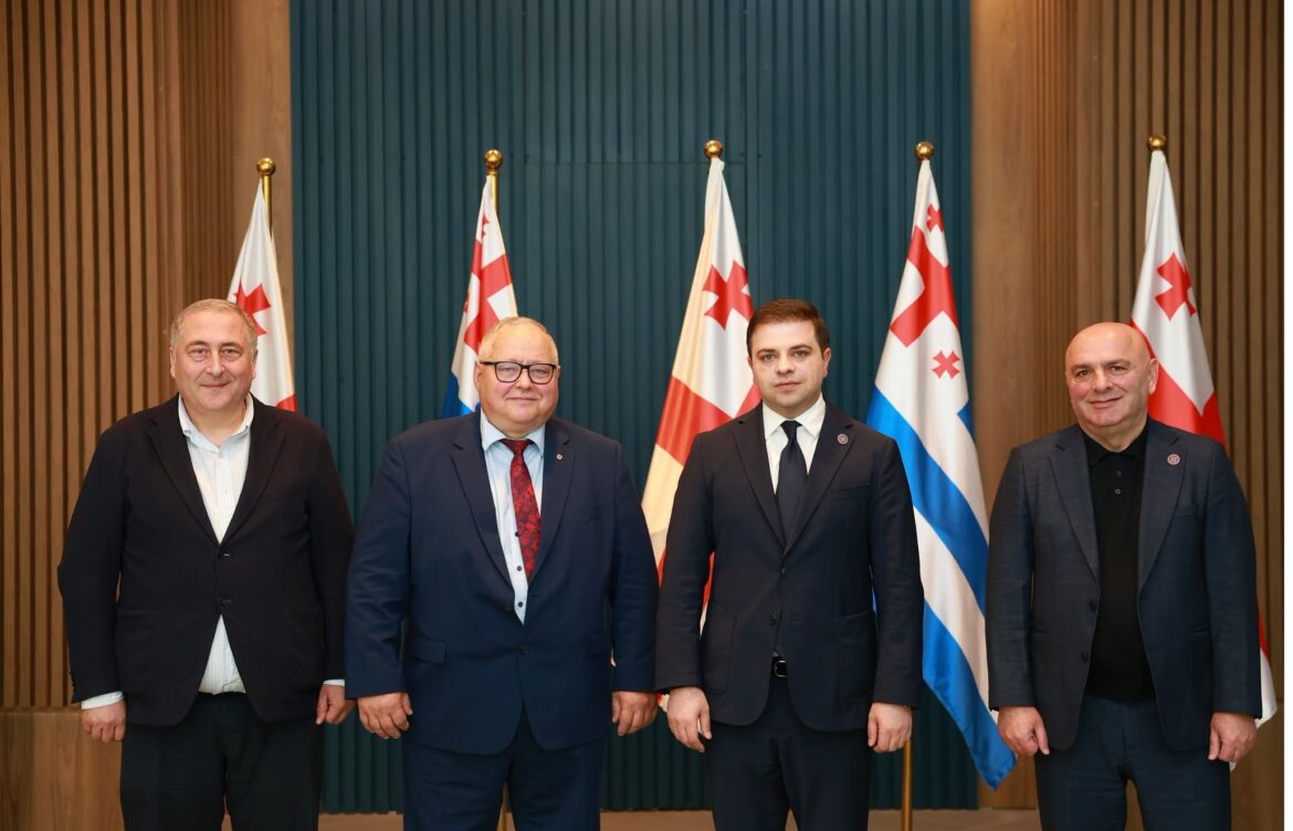 ცოტნე ანანიძე შტეფენ კუბიცკის შეხვდა