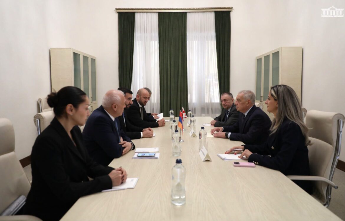 გიორგი ვოლსკი სომხეთის ეროვნული ასამბლეის ვიცე-სპიკერ ვაჰან ალეკსანიანს შეხვდა