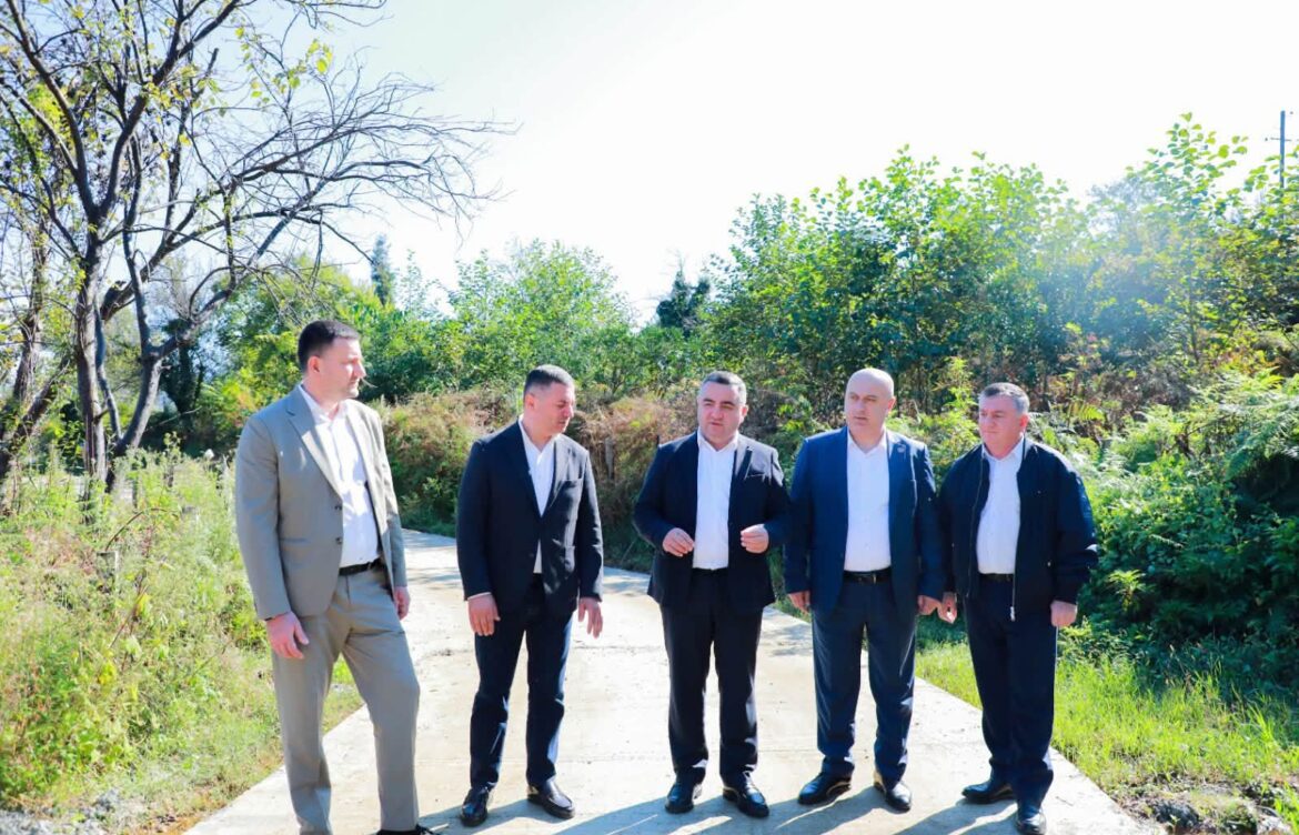 ზაზა დიასამიძემ საგზაო ინფრასტრუქტურის სამუშაოები დაათვალიერა