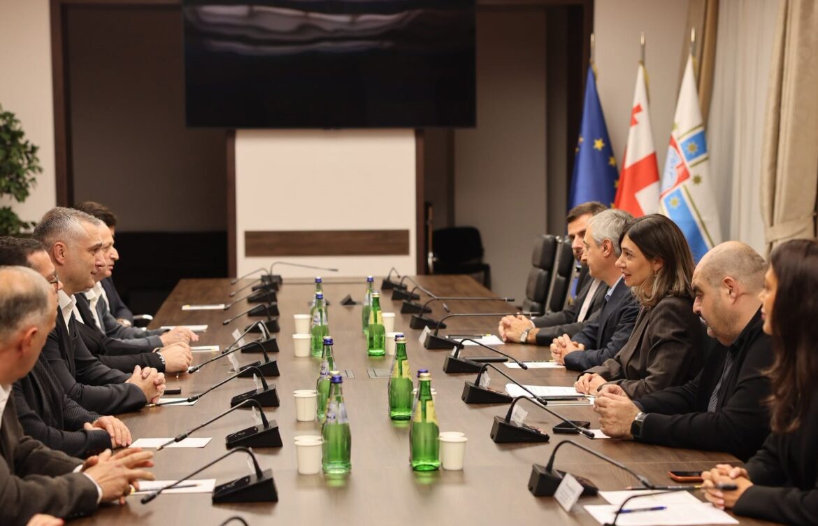 შეხვედრა დედაქალაქის მუნიციპალიტეტის გამოცდილების გაზიარების მიზნით