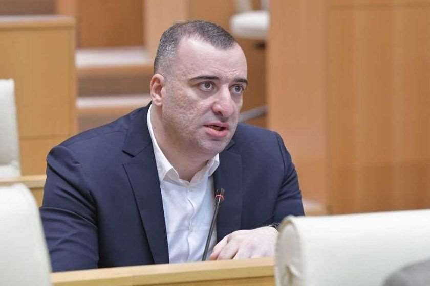 „საქართველოში მიმდინარე კანონშემოქმედებითი საქმიანობა, მათი შთაგონების წყაროდ იქცა“