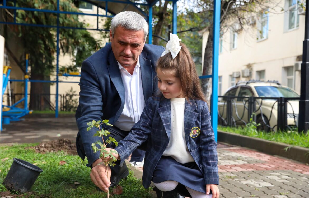 „ჩემი პირველი ნერგი“