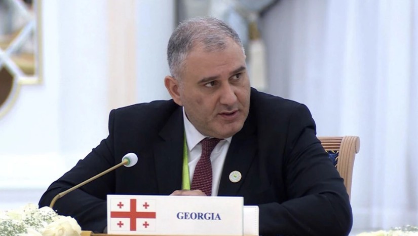 მიხეილ სარჯველაძე: სამწუხაროდ, დიდ გაუგებრობას ჰქონდა ადგილი