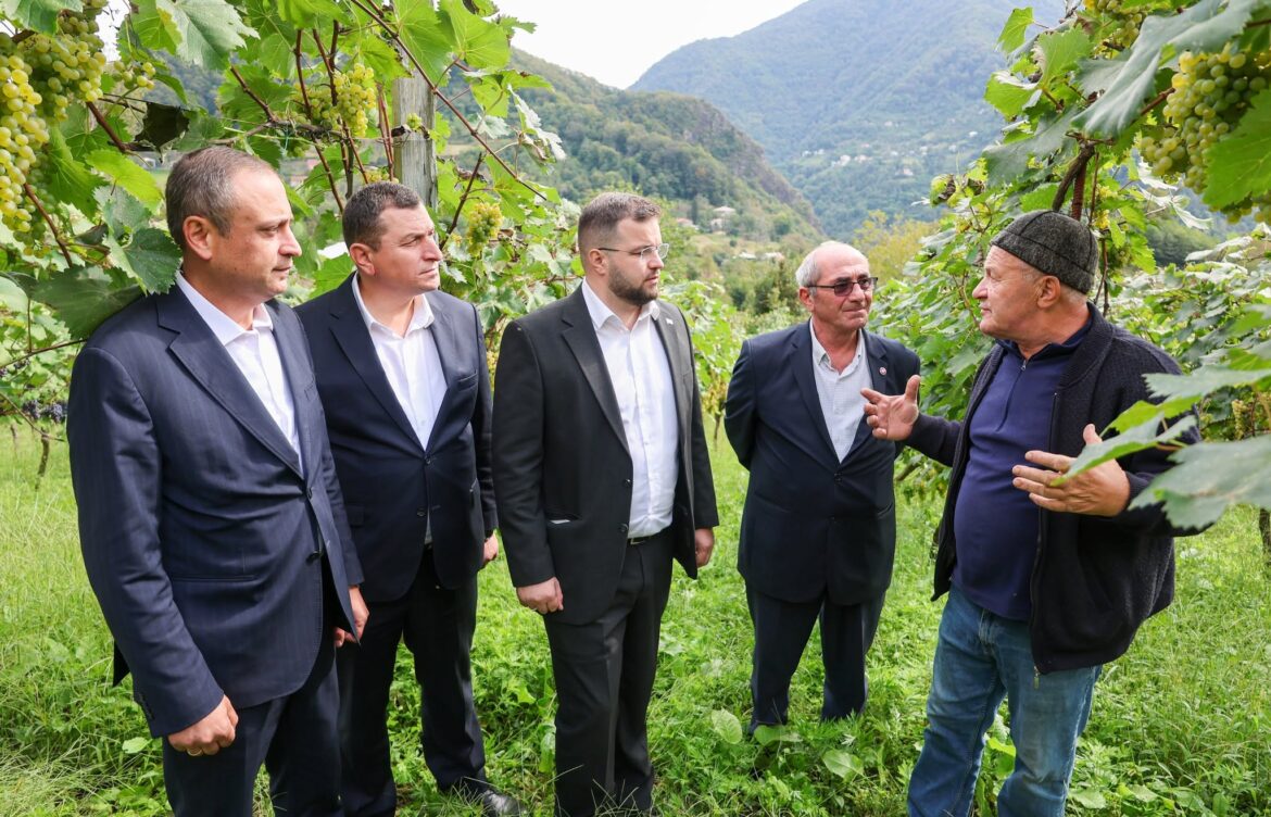 დენის სალუქვაძე ქედელ მევენახეებს შეხვდა