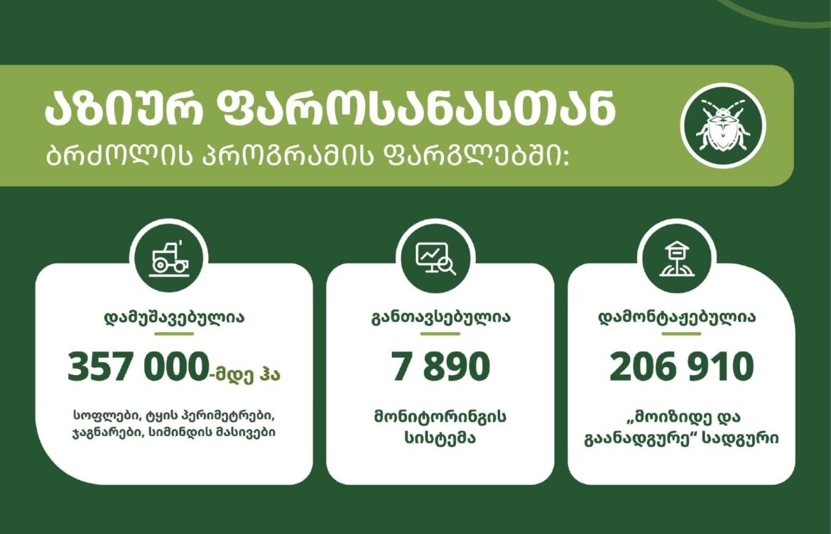 ბრძოლა აზიურ ფაროსანასთან – 357 ათას ჰექტარამდე ფართობი უკვე დამუშავებულია